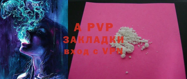 стафф Алзамай