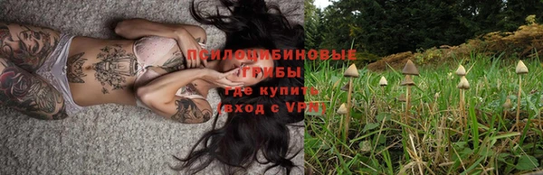 прущая мука Алексеевка