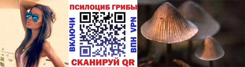 магазин продажи наркотиков  Тосно  omg ссылки  Псилоцибиновые грибы GOLDEN TEACHER 