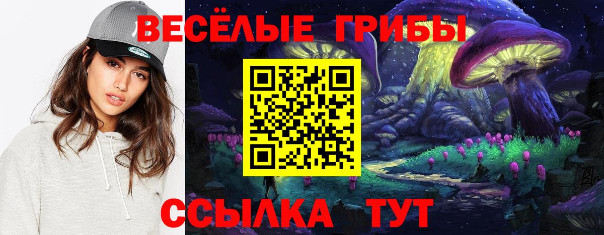 Псилоцибиновые грибы мицелий  купить наркотики сайты  Псилоцибиновые грибы мухоморы  Тосно  Вход с VPN 