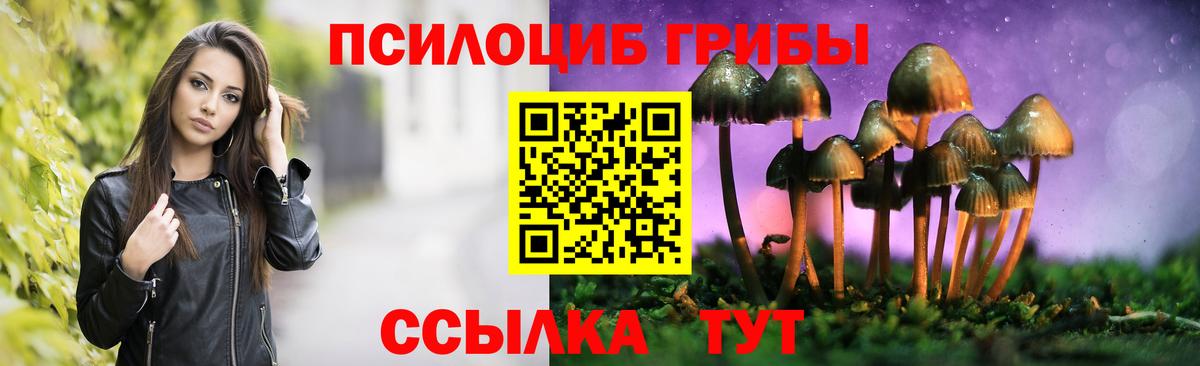 Галлюциногенные грибы мицелий Тосно